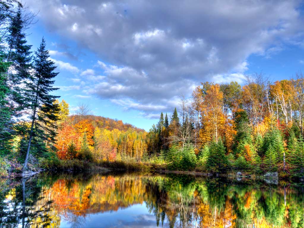 Quebec Building a Sustainable Legacy in Wood The Iceberg